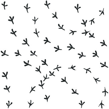 Seamless vector pattern of a dove bird footprints