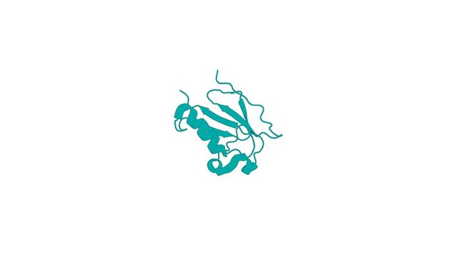 360&ordm; realistic 3D rendering of a biological molecule. NMR Solution Structure of Tbulin folding Cofactor B obtained from Arabidopsis thaliana: Northeast