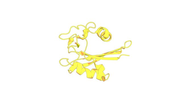 360º realistic 3D rendering of a biological molecule. Solution structure and NH exchange studies of the MutT pyrophosphohydrolase complexed with Mg(2+) and 8-oxo-dGMP, a tightly bound product.