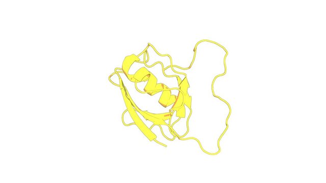 360&ordm; realistic 3D rendering of an animated biological molecule over a white background with alpha mask.  The INAD scaffold is a dynamic, redox-regulated modulator of signaling in the Drosophila eye