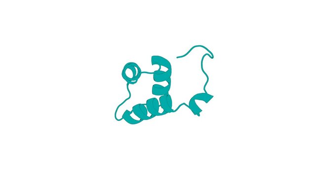360&ordm; realistic 3D rendering of an animated biological molecule over a white background with alpha mask.  Solution Structure of UBA domain of Human Ubiquitin Associated Protein 1 (UBAP1)