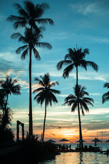 Fototapeta na wymiar Silhouettes of palm trees on the tropical beach during amazing sunset.