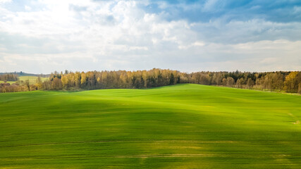 Beautiful green field in the sunshine, greening spring forest in the distance and cloudy sky