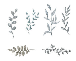 Watercolour floral illustration set. DIY flower, green leaves elements collection - for bouquets, wreaths, arrangements, wedding invitations, anniversary, birthday, postcards, greetings, cards, logo.