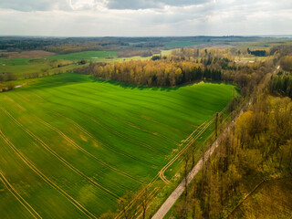 Beautiful aerial green field in the sunshine, greening spring forest in the distance and cloudy sky