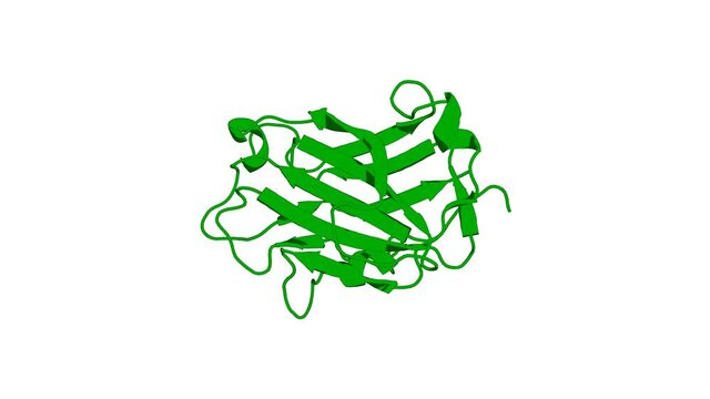 360&ordm; realistic 3D rendering of an animated biological molecule over a white background with alpha mask.  Solution structure of the single-strand break repair protein XRCC1 N-terminal domain.