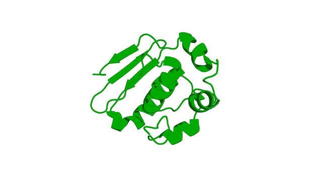 360&ordm; realistic 3D rendering of a biological molecule. SOLUTION STRUCTURE OF THE PROTEIN MTH0916: THE NORTHEAST STRUCTURAL GENOMICS CONSORTIUM TARGET TT212