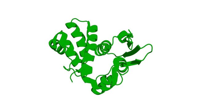 360&ordm; realistic 3D rendering of a biological molecule. A structural basis for H-NOX signaling in Shewanella oneidensis by trapping a histidine kinase inhibitory conformation.