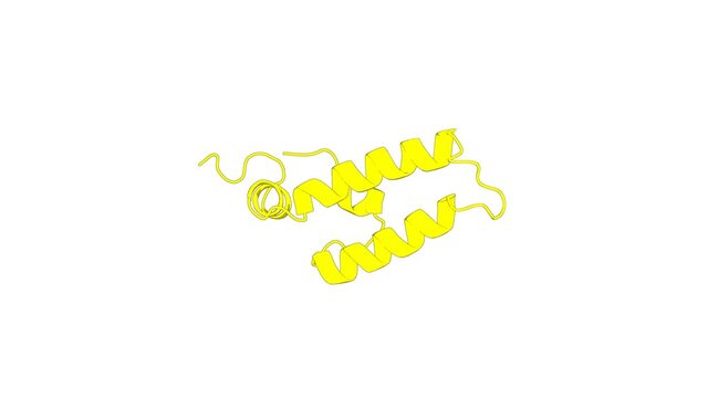 360&ordm; realistic 3D rendering of a biological molecule. NMR structure of the J-domain and the Gly/Phe-rich region of the Escherichia coli DnaJ chaperone.