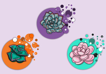 Amazing succulent flower 