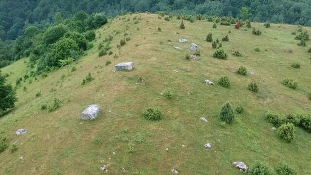 Necropolis with stecak near Umoljani in Bosnia and Herzegovina.