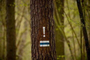 Blue hiking trail sign with a white exclamation mark painted on a tree - the exclamation mark indicates an unexpected change of direction or difficult orientation in the field