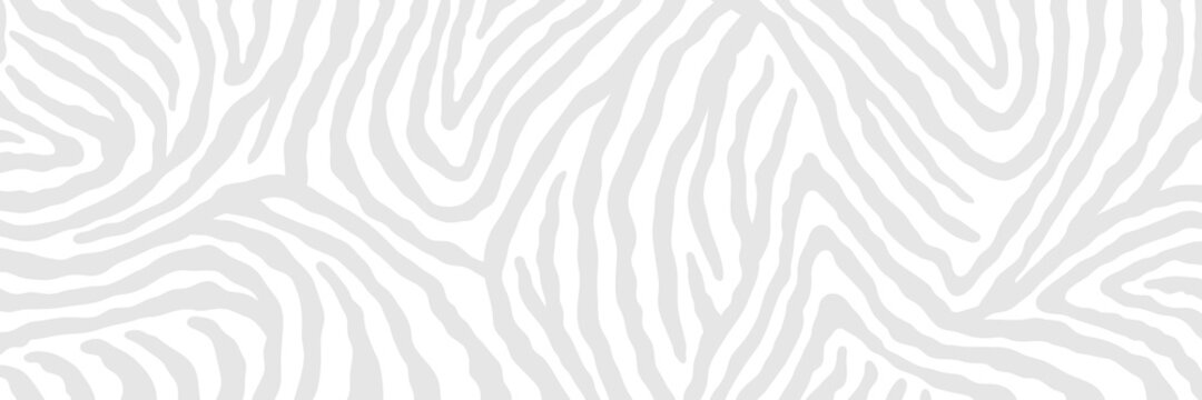 Vector abstract animalistic background. Freehand illustration of zebra skin print. Long horizontal banner.