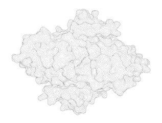3D rendering as a line drawing of a biological molecule. Crystal structure of MunI restriction endonuclease in complex with cognate DNA at 1.7 A resolution.