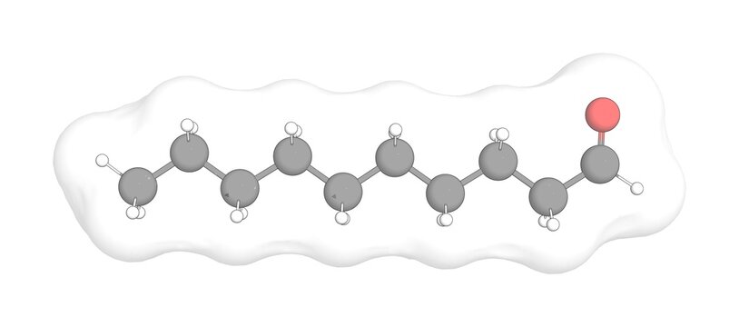 3D rendering of Decanal with white transparent surface over a white opaque background. Also called decyl aldehyde and capraldehyde.