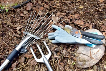 Early spring yard and garden clean up from winter season mulched flowerbeds. Nature backyard landscaped home and gardens. Photo background, lifestyle and hobbies. Close-up