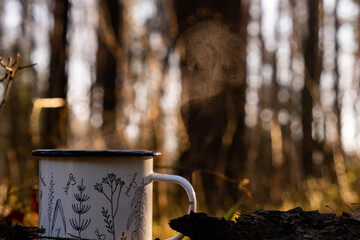 Tea in forest