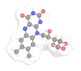 3D rendering of Riboflavin with white transparent surface over a white opaque background. Also called vitamin b2 and riboflavine.
