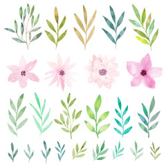 Watercolor flowers and leaves collection. Botanic illustration isolated on white background