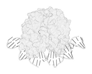 3D rendering as a line drawing of a biological molecule. Indirect Readout of DNA Sequence at the Primary-kink Site in the CAP-DNA Complex:  
DNA Binding Specificity Based on Energetics of DNA Kinking