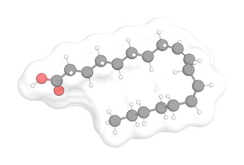 3D rendering of Linoleic Acid with white transparent surface over a white opaque background. Also called linolic acid and telfairic acid.