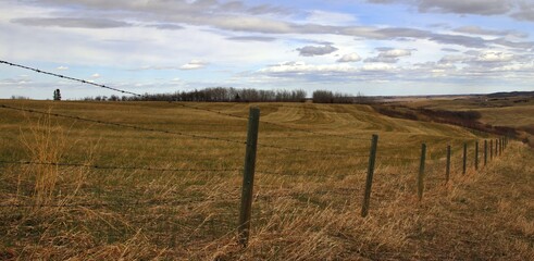 Prairie Farm