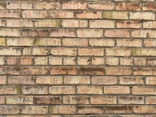 dirty grungy mildew mold tan brick wall building exterior weathered