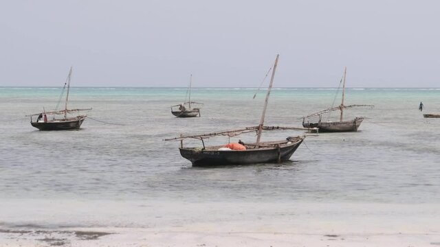 Lot of African traditional wooden boats anchored on shallow water by the beach at low tide, Zanzibar. Many old dry, fishing Dhow row boat by tropical Ocean coast. Exotic shore Nungwi, Tanzania. Africa