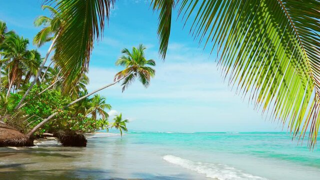 Bahamas clear blue sea and white sand. Beach and sea and sky tropical paradise beach background. Bahamas palms beach landscape. 