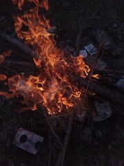 Bonfire in nature. Bonfire Fire