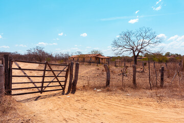 Desolate landscape - Scene of desolation representing the drought in the Pernambuco hinterland
