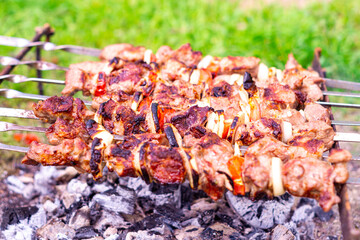 Barbecue. Fresh meat, put on a skewer, is fried over hot coals. Close-up. Shashlik.
