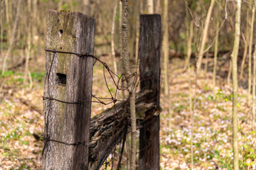 old fence post