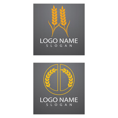 Obraz premium Agriculture wheat Logo Template vector icon design
