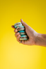 Hand showing a stack of blueberry vanilla french macarons 