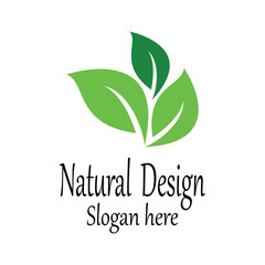 Leaf icon Vector Illustration design Logo template