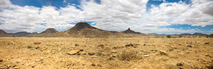 Surreal panorama of the Kaokoland game reserve in Namibia