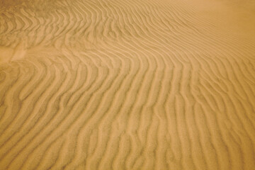 Fototapeta na wymiar Wavy pattern of sand dunes in Namibia