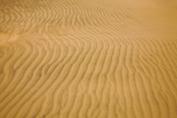 Wavy pattern of sand dunes in Namibia