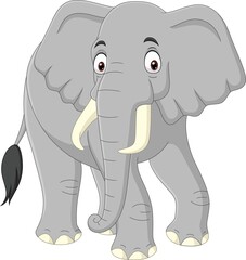 Cartoon elephant isolated on white background 