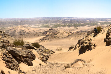 Fototapeta na wymiar Surreal panorama of the white sand dune sea in the Skeleton Coast, Namibia.