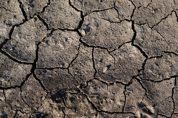 Texture of cracked dried soil. Dry ground with cracks. Brown rough surface of the soil during summer drought. Great for background and design. Ecology, climate change and global warming on Earth.