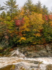 River Rapids in Autumn