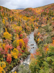 Valley with Autumn Color