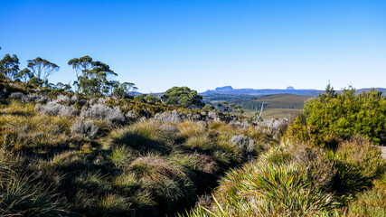 Hill landscape, Tasmania, Australia