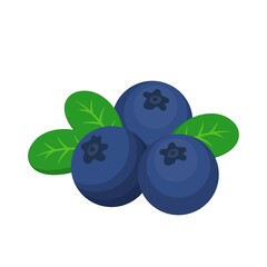 Blueberry comic cartoon vector isolated on white background