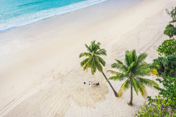 Aerial view top view Beautiful topical beach with white sand coconut palm trees and sea. Top view...