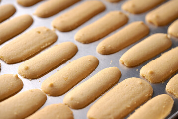 kue lidah kucing or katte tong biscuit. islamic cookies biscuit for eid mubarak tradition