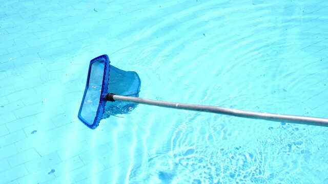cleaning swimming pool of fallen leaves with net in summer