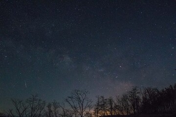 나무위의 유성과 은하수, Meteor and Milky Way on a Tree